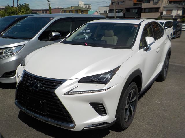 2021 Lexus NX NX300H VERSION L
